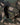Chemise Valentino camo