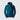Sweat à Capuche THE NORTH FACE