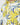 Sweat à capuche Homme Jaune Logo Fleure Valentino Garavani  XV0MF22K8GP