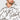 Sweat à capuche à écritures DOLCE&GABBANA